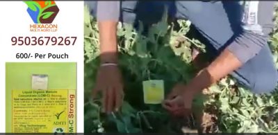 Mutter Very Good Growth Hindi FB Video 14032023