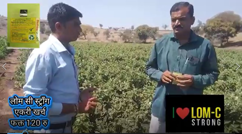 Brinjal very Healthy FB Video 28522