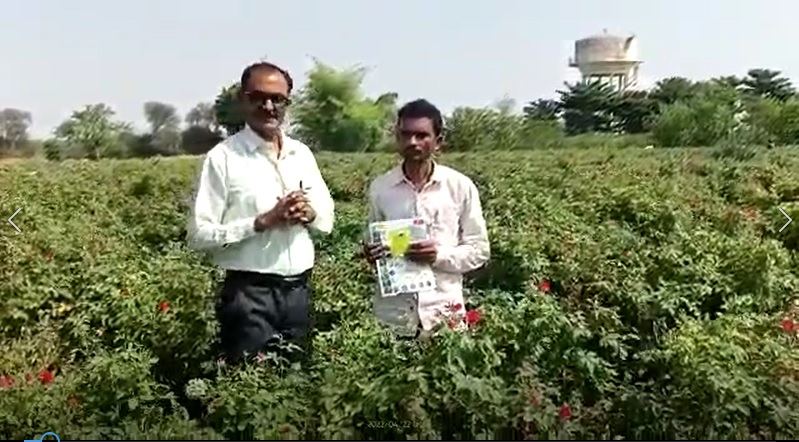 Rose FB Video 9 5 22 Hindi from MP