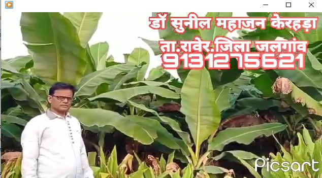 Banana FB Video 13 12 21