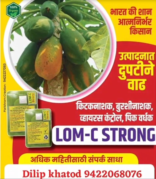 Dilip Katod Sub SD MH Video 24 12 21