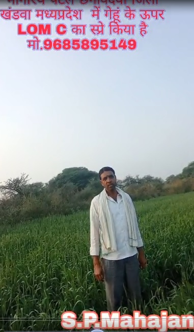 LOM sprayed & not sprayed comparison Video 13 12 21