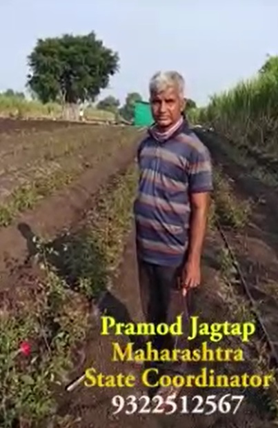 Rose FB Video image 8 11 21