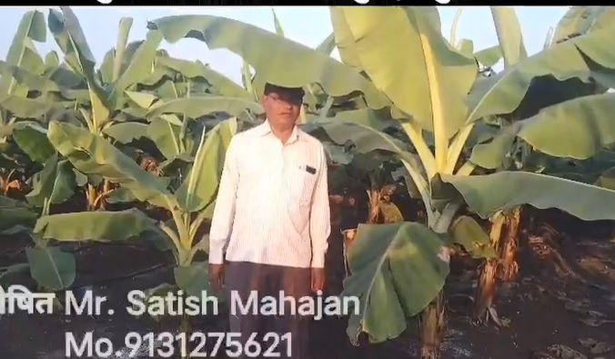 Turmeric, Banana Cured FB Video 1 11 21