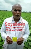 Soyabeen Very Good Hindi FB video 101122