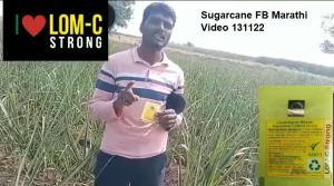 Sugarcane FB Marathi Video 131122