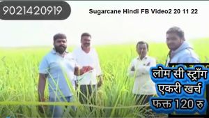 Sugarcane Hindi FB Video2 20 11 22