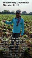Tobaco Very Good Hindi FB video 81122