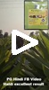 PG Hindi FB Video Haldi excellent results 121125
