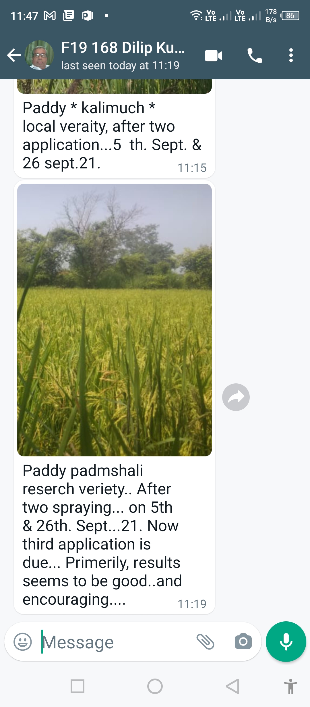 Paddy before & after Hindi Feedback