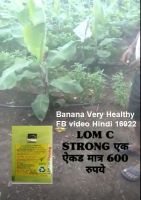 Banana Very Healthy FB video Hindi 16922