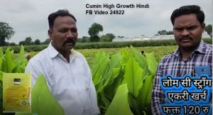 Cumin High Growth Hindi FB Video 24922