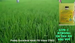 Paddy Excellent Hindi FB Vdieo 21922