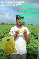 Plants very healthy FB Video from Gj 3922