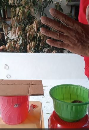 DFA Water mx 600ml + Cow Feeding Video Image