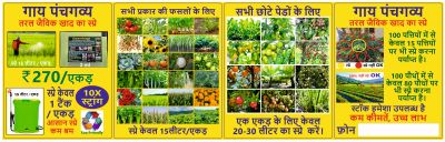 Hindi Banner 4x10 feet 26626