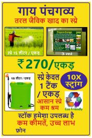 Hindi Poster 12 x 18 inches