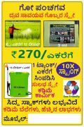 Kannada  Poster 12x18 inches