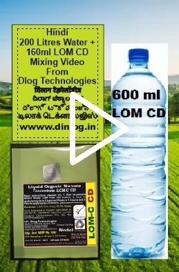 Hindi 200L