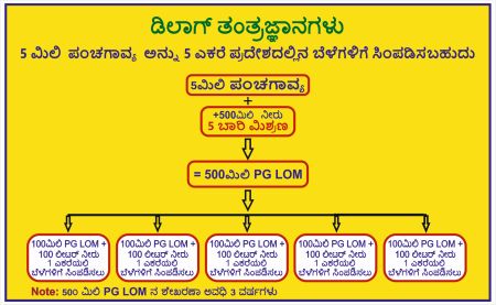 How to spray 5ml in 5 acre Crops