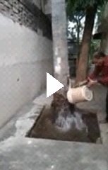 Applying LOM mix to Coconut Tree Video