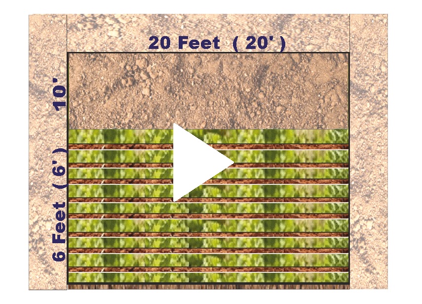 Empty composting Pit Filling image