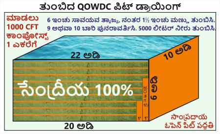 Kannada Filled QOWDC Pit Drawing